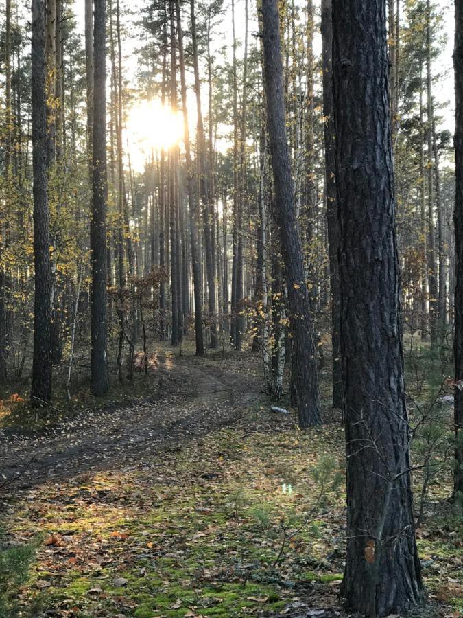 Диброва Dibrova  Buitenkant foto
